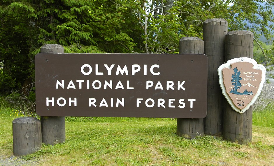 Sign Hoh_Rain_Forest