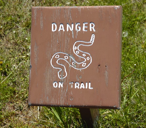 Rattlesnake Warning
